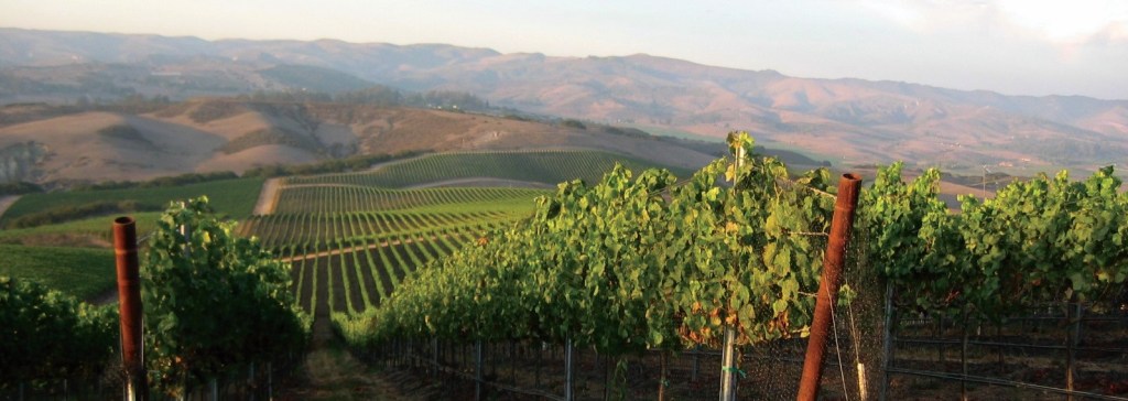 Foley Vineyards
